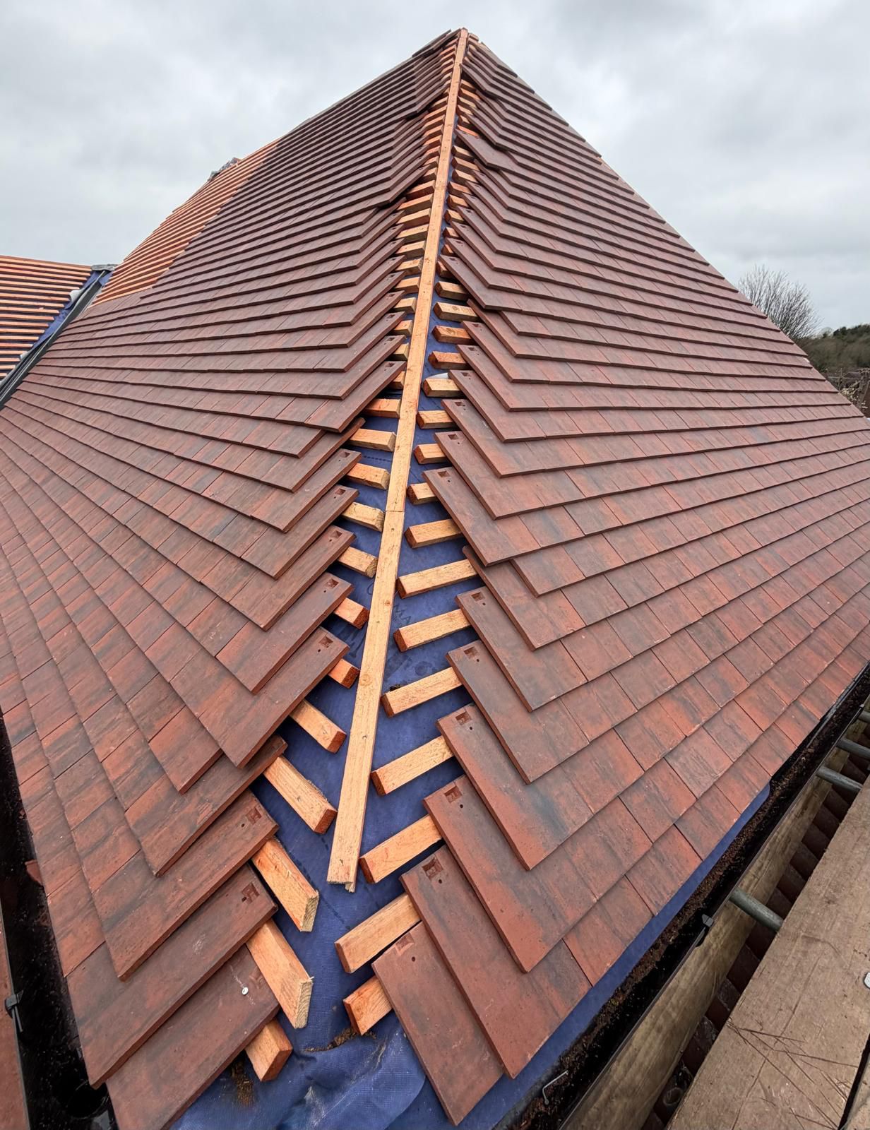 Drone roof inspection project